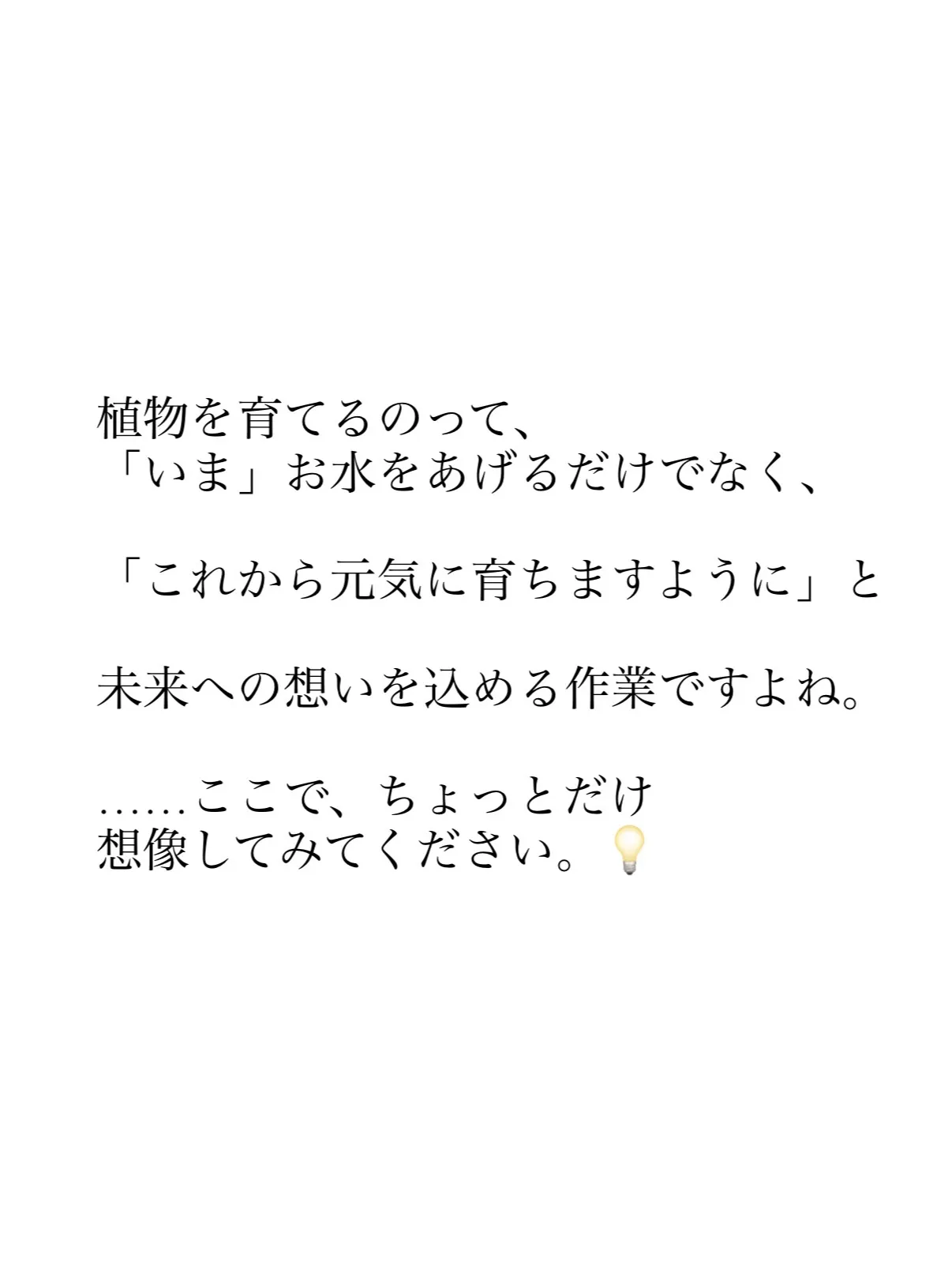 難波先生のトマトの苗をこれからも大切に育てながら、目の前のク...