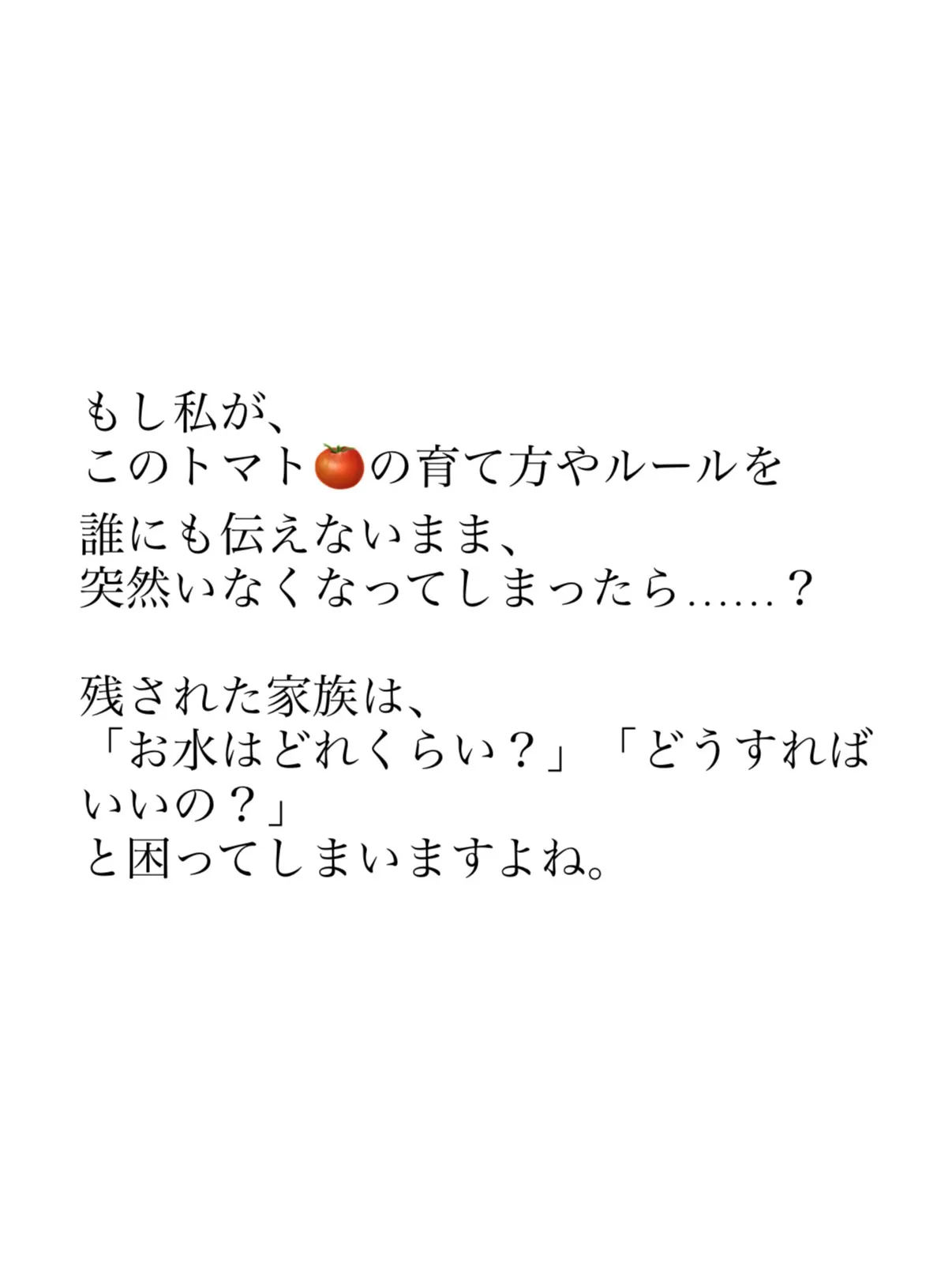 難波先生のトマトの苗をこれからも大切に育てながら、目の前のク...